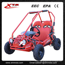 5,5HP 50cc/163cc Offroad Kids Gas Mini Buggy